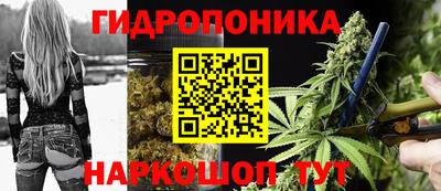 а пвп мука Ачхой-Мартан